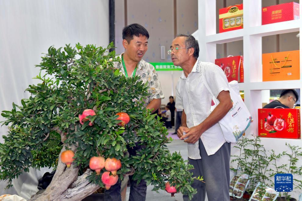 博狗投注
